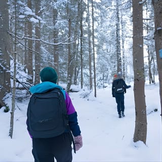 4 hours Winter View of the Oslofjord Walk Tour  5