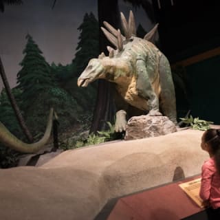 Pacific Science Center: biglietto d'ingresso 23