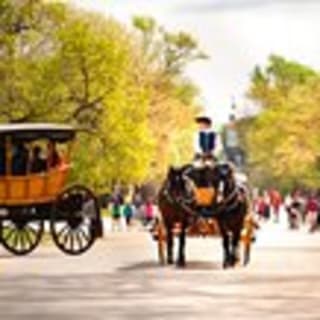 Colonial Williamsburg Admission 18