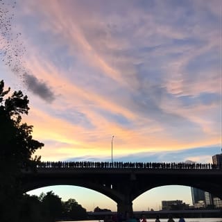 Congress Avenue Bat Bridge Kayak Tour in Austin 3