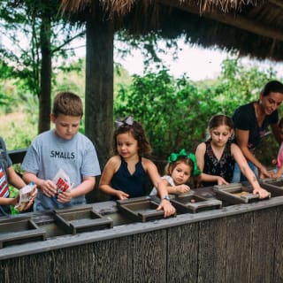 Paquete de Aventura en los Everglades de Florida 9