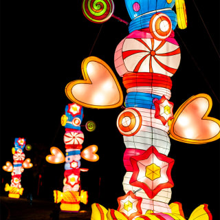 Autumn Glow Festival 2025 (Schenectady, NY) 6