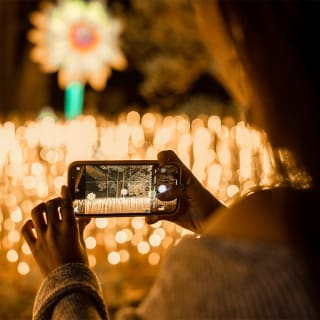 Autumn Glow Festival 2025 (Schenectady, NY) 7