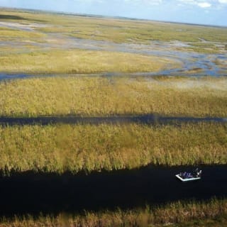 Paquete de Aventura en los Everglades de Florida 11