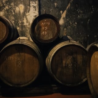 Colline del Chianti: Experiencia enológica desde Florencia 17