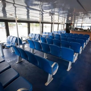 Avventura di mezza giornata di whale watching da Vancouver 8