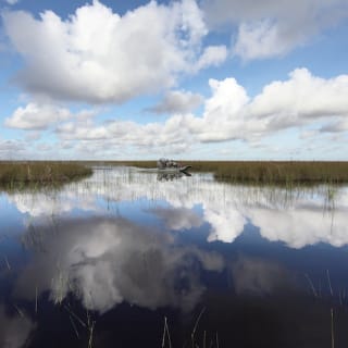 Paquete de Aventura en los Everglades de Florida 14