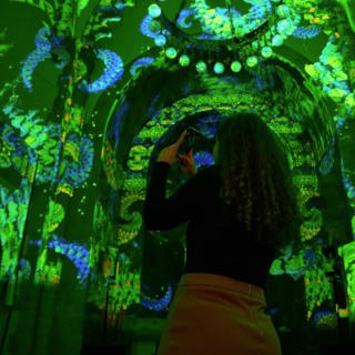 Eonarium Enlightenment: An Immersive Light Show in Melbourne 5