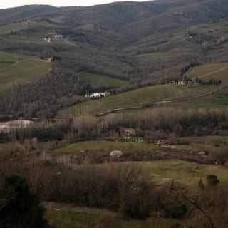 Colline del Chianti: Experiencia enológica desde Florencia 18