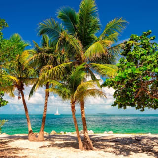 Key West Tagesausflug von Miami 4