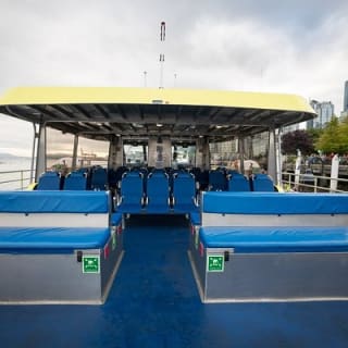Avventura di mezza giornata di whale watching da Vancouver 12