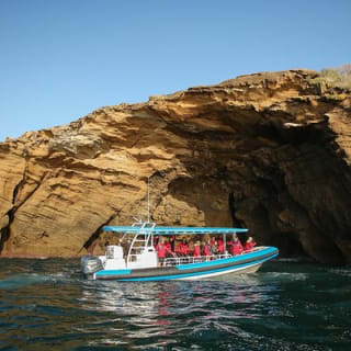 Hunter Coastal Adventure Tour en barco desde Newcastle 1