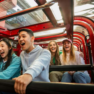 Blue Mountains & Sydney Zoo: Tour di un giorno da Sydney 12