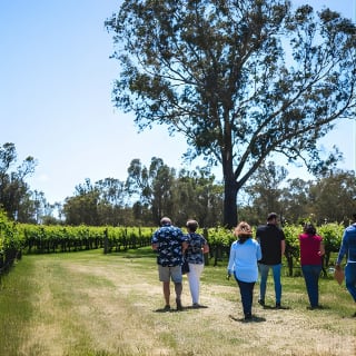 Upper Reach Winery: Swan Valley Winery and Vineyard Tour 4