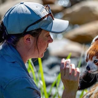 Blue Mountains & Sydney Zoo: Tour di un giorno da Sydney 17