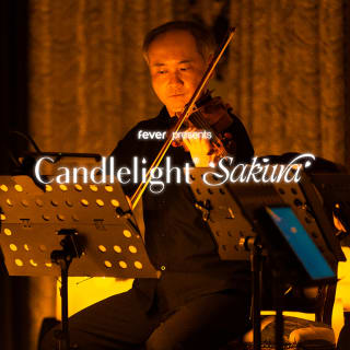 Candlelight Sakura: 甘く切ない桜ソング名曲集 2
