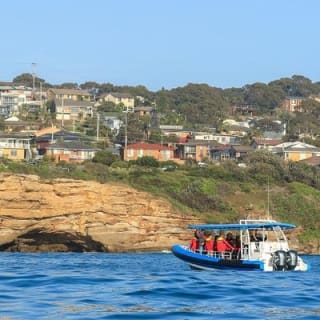 Hunter Coastal Adventure Tour en barco desde Newcastle 3