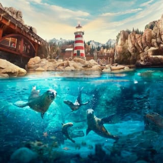 SeaWorld Abu Dhabi 1