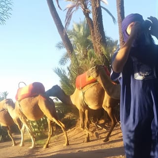 Promenade à dos de chameau dans les palmeraies de Marrakech 4