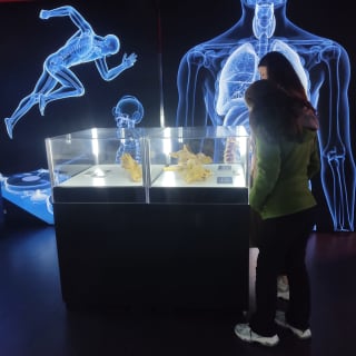 Bodies Evolution en Málaga 5