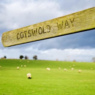 The Cotswolds et Blenheim Palace 17
