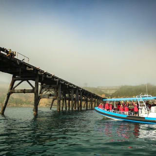 Hunter Coastal Adventure Tour en barco desde Newcastle 6