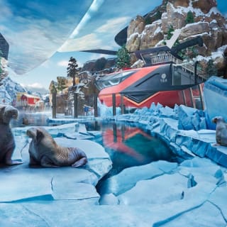 SeaWorld Abu Dhabi 7