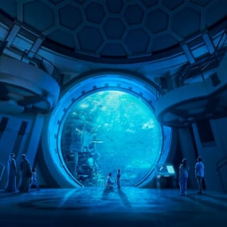 SeaWorld Abu Dhabi 8