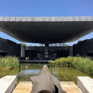 Biglietti per il Museo Nazionale di Antropologia a Città del Messico 4