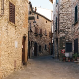 Colline del Chianti: Experiencia enológica desde Florencia 24