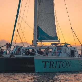 Harbor Cruise on the Largest Catamaran in San Diego Bay 13