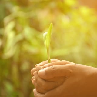 Día mundial del medioambiente 4 1