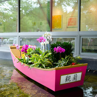 Taiwan: A World of Orchids Exhibition at Queens Botanical Garden 4