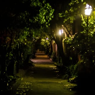 Dark Side of Charleston Guided Night-Time Walking Tour 2