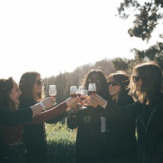 Colline del Chianti: Experiencia enológica desde Florencia 25