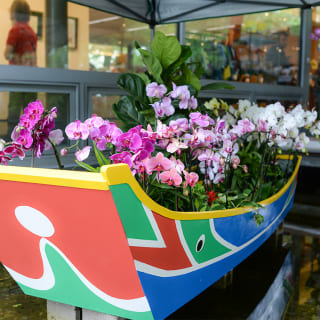 Taiwan: A World of Orchids Exhibition at Queens Botanical Garden 5