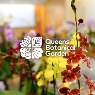 Taiwan: A World of Orchids Exhibition at Queens Botanical Garden 1