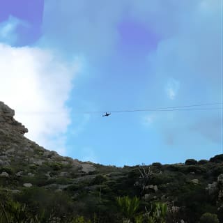 Zipline Cape Town - From Foot of Table Mountain Reserve  2