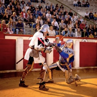 Los Cuatro Reinos: El Gran Torneo Medieval en Alicante 3