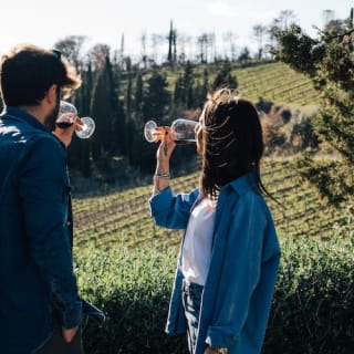Colline del Chianti: Experiencia enológica desde Florencia 27