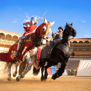Los Cuatro Reinos: El Gran Torneo Medieval en Alicante 6