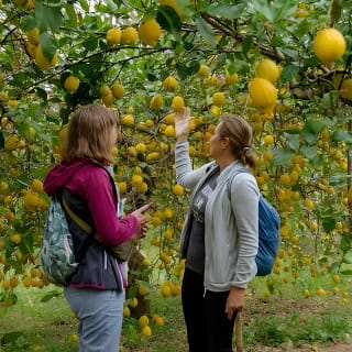 Soller Valley Walk with Orange Farm Visit 21