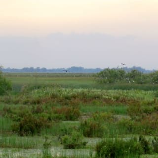 Doñana national park and El Rocío: excursion from Seville 2