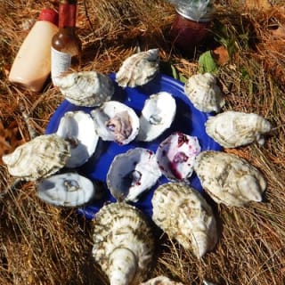 Oyster Farm & Complimentary Tasting Sea Kayak Tour in Casco Bay 1