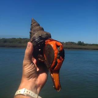 Kayak Salt Marsh Maze Tour 11