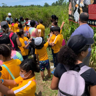 Eco Friendly Farming Tour to Explore Dorado's Most Beautiful Farm 18