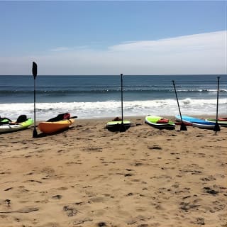 Tour Eco de Delfines en Kayak para Grupos Pequeños 3