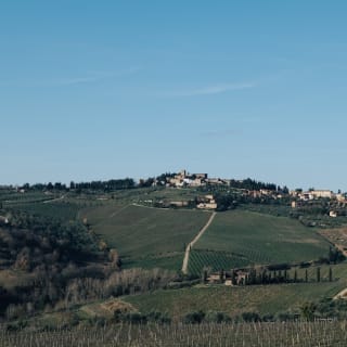 Colline del Chianti: Experiencia enológica desde Florencia 30