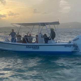 Puerto Rico: Bio Bay Swim and Sunset Charter or Late night tour 4