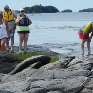 Oyster Farm & Complimentary Tasting Sea Kayak Tour in Casco Bay 5
